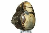 Septarian Dragon Egg Geode - Sparkly Black Crystals #308811-2